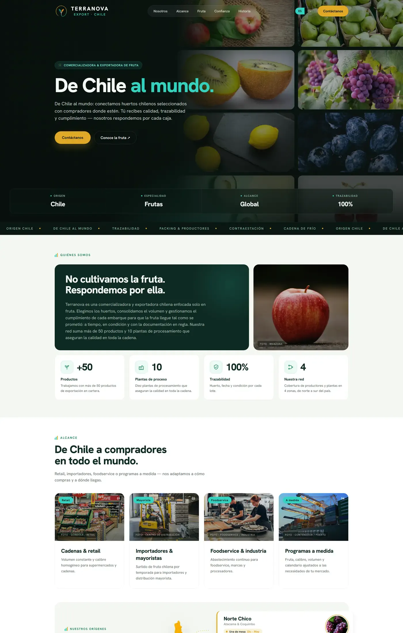 Captura del sitio web de Terranova Export